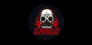 Gringo XP App Download APK (Official Website) For Android 2025